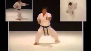 Kyokushin Karate Bible HD.wmv