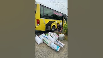 Các loại cá giống nước ngọt #cá_giống #trại_cá_giống_út_me 0909770509 #traicagiongdongthap