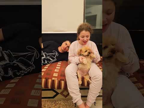 شو هالحركات انت مريض 