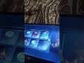 finished the case with the things