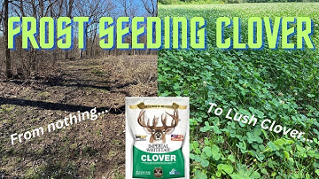Frost Seeding Prep Work | Blower Method | Spring Clover Planting