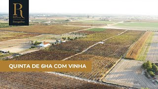 Quinta De Vinha Com Possibilidade De Construção De 2 Moradias Ref. 560