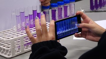 Lab4U - A Lab in Your Pocket