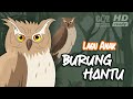 Lagu Anak  Burung Hantu  ♪ Lagu Anak-Anak Indonesia