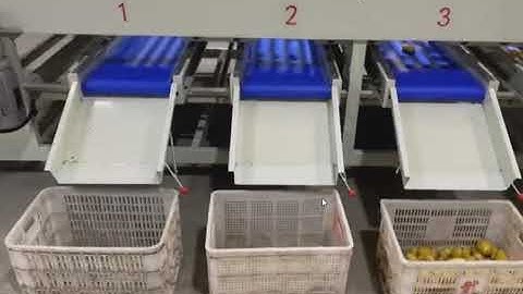 potato sorting grading machine