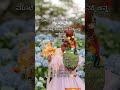 #kannada motivational quotes #kannda songs#shorts#viral#Manasa spark
