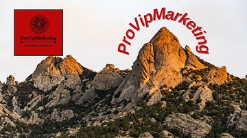 YTMonster YouTube Subscribers  YouTube Likes