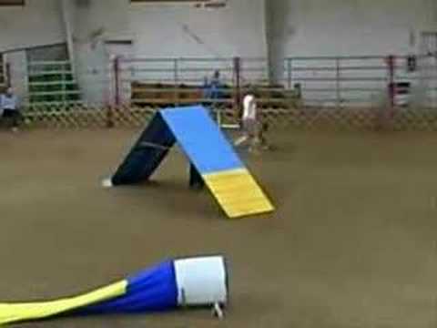 AKC Standard Agility 4/28/07 - The Musical!!