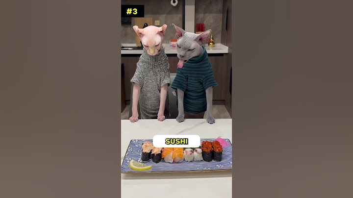 Human foods that cats can eat 🤤🤤 #part2