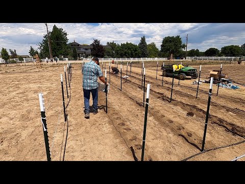 Video: Successful Cultivation Of Gorgeous Dahlias. The Basics