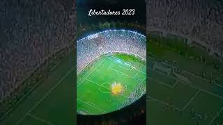 Fluminense campeão da copa libertadores 2023