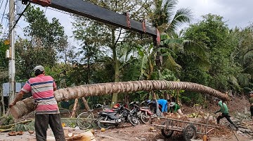 Cần cẩu UNIC , cẩu cây dài lên xe quá đẹp.