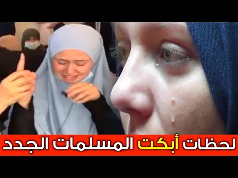 فيديو: 