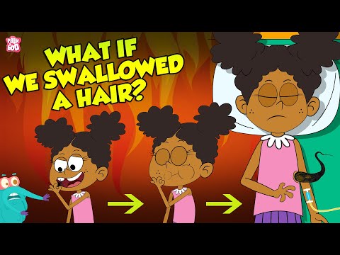 What If We Swallowed A Hair? | Hairs In Our Stomach | The Dr Binocs Show | Peekaboo Kidz