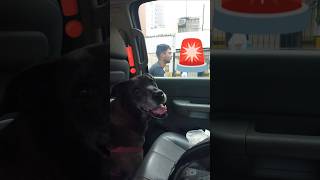 Desde Mi Ventana 🪟