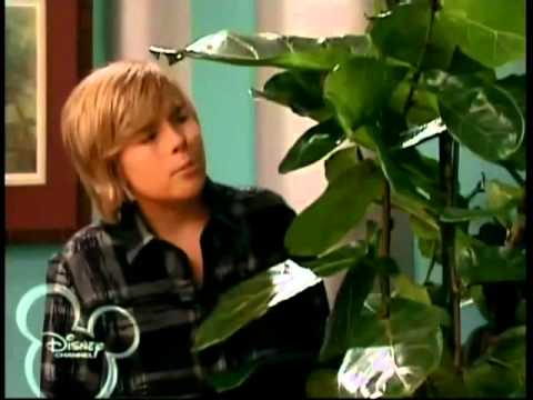 the suite life on deck season 1 episode 22