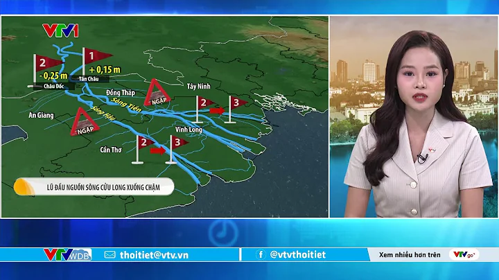 Dự báo thời tiết 5h30 - 13/10/2025 | Hôm nay lũ sông Cửu Long xuống chậm | VTVWDB