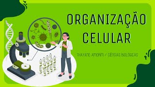 Organização celular - Célula eucarionte e procarionte