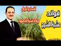 كنز عظيم في هذه العشبه للنساء و للرجال لكنها ممنوعه للمرأه الحامل - مع خبير الاعشاب حسن خليفه