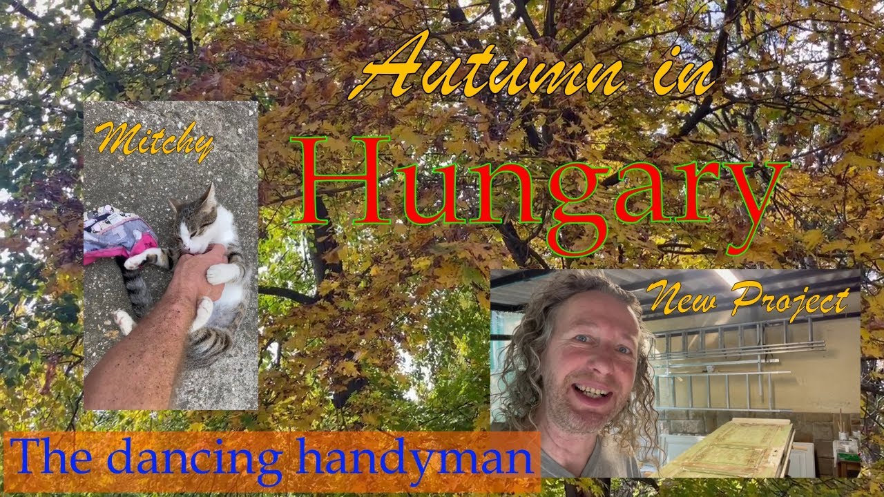 Митчи, Осень и новый проект