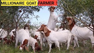 GOAT Farm Business: Best Feeds,Vaccinations, Breeds| Farm Updates 2023 by Value Farm 10,224 views 4 months ago 19 minutes