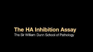 The HA inhibition assay