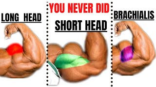 15  BEST BICEPS WORKOUT AT GYM TO GET BIGGER ARMS FAST
