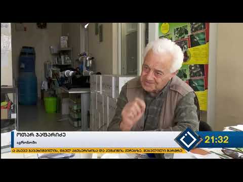 საიდან იღებენ ფერმერები კონსულტაციას