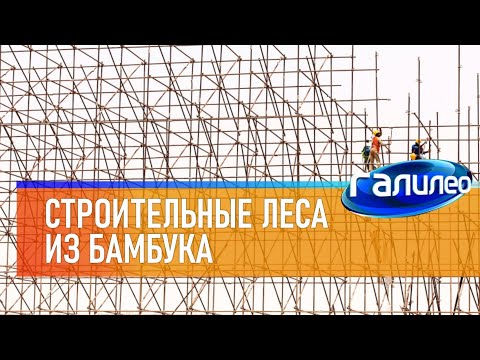 Видео: Где есть бамбуковые леса?