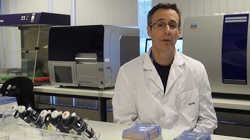 How does ICMP DNA lab techniques make it possible to identify cases of unidentified human remains?