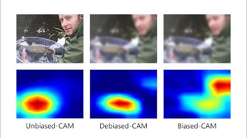 CHI 2022 Debiased-CAM (preview)