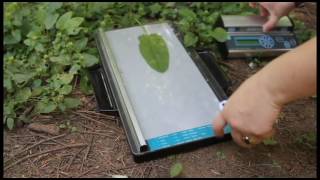 How the CI-202 Portable Laser Leaf Area Meter works!
