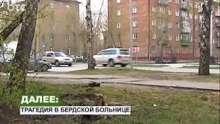В Новосибирске на легковой автомобиль упала береза 03 05(, 2012-05-04T05:23:51.000Z)