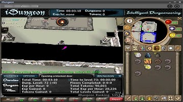 OFFICIAL RuneScape Dungeoneering Bot 2012 (iDungeon)