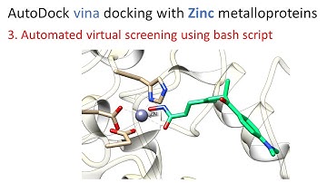 3. Automated virtual screening using bash script | AutoDock vina docking with Zinc metalloproteins