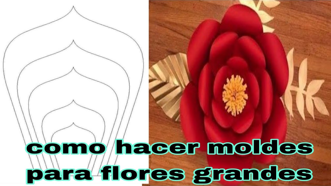 Molde Para Hacer Flores 🌺[PASO A PASO] MOLDES PARA FLORES GRANDES en cartulina/ como hacer flores  grandes/large flower molds - YouTube