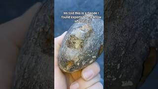 Cutting open  big Geode #geode #geodeart #fossils #fossil #fossilhunting #agate #crystals #quartz