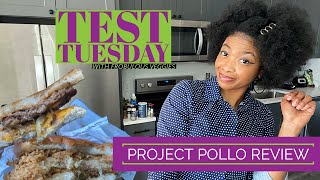 Project Pollo Review