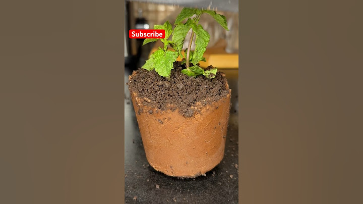 Flower Pot Dessert  #shorts #food #dessert #viral
