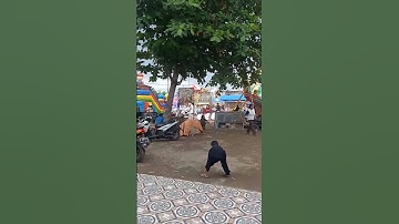 LELEA due gawe‼️nu boga adat ngarot #ngarot2022 #lelea #adatindramayu #shorts