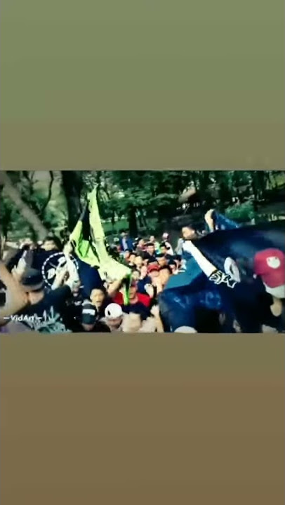 Stm bpd
