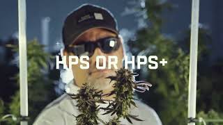 Method Seven Grow Glasses & Ordering | Choose Your Lens & Order Info | How to Purchase Method Seven