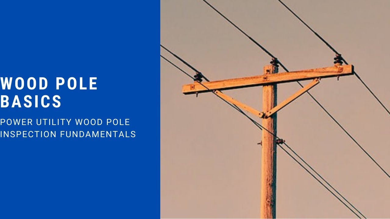 Wood Pole Basics: Power Utility Wood Pole Inspection Fundamentals