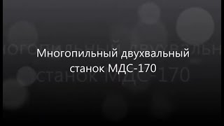 Многопильный двухвальный станок МДС-170