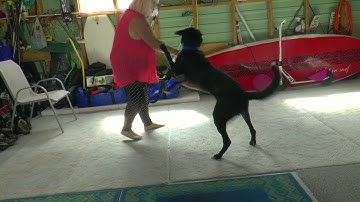 Click with Colin reduce latency of a behaviour (speed)