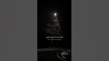 القارئ عبدالرحمن مسعد #سورة_الفتح
