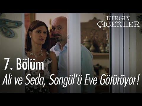 Ali ve Seda, Songül'ü eve götürüyor! - Kırgın Çiçekler 7. Bölüm