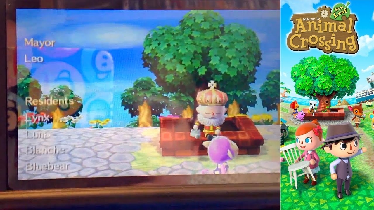 Animal Crossing New Leaf 3ds Day 27 Town Tree Secret Dream
