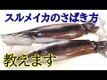 スルメイカのさばき方とアニサキス対策～刺身、肝焼き～