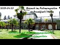 2025 04 23 Besuch im Frankfurter Palmengarten   Fotostory